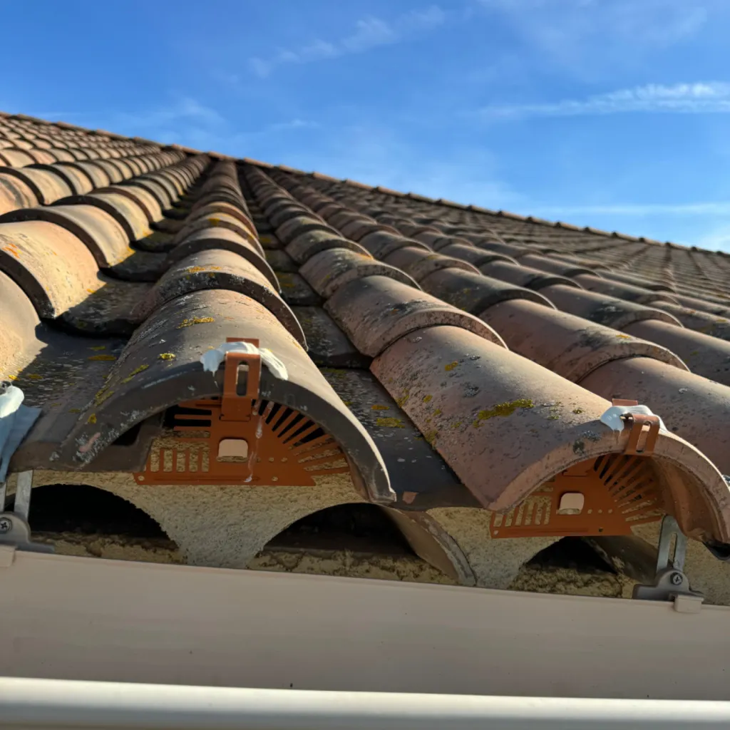bouches tuiles contre les pigeons Marseille 13000