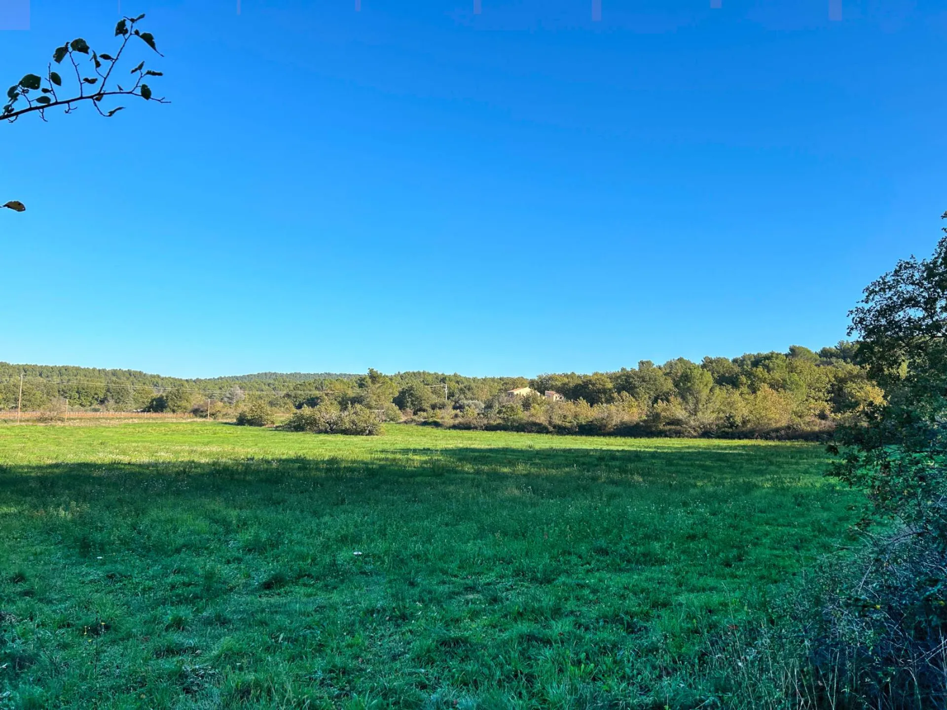 Pernes-Les-Fontaines - terrain agricole, vue Mont Ventoux   