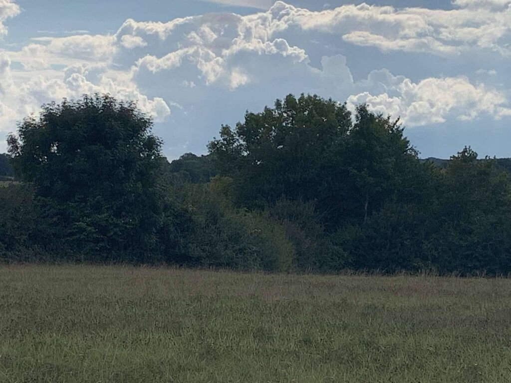 SUD PAYS D'AUGE CALVADOS  A VENDRE TERRAIN AGRICOLE DE 4 HA 70 A