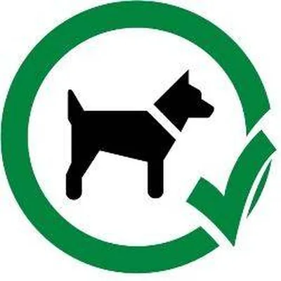 Un toutou oui, deux non!