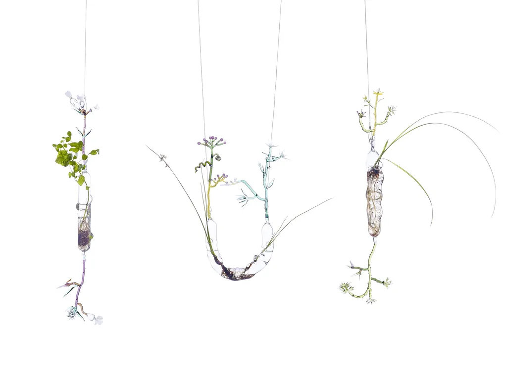 photographe d'oeuvre d'art à Lyon galeriste commissaire d'exposition salle des ventes institutions