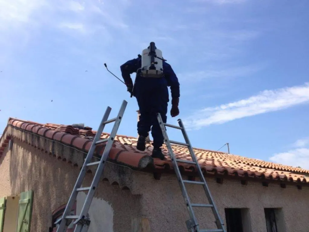 anti frelon eguilles 13510