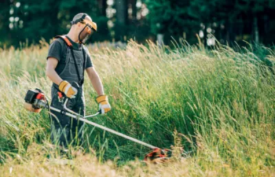 Elagage et Paysage débroussaillement