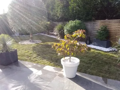 Pose de gazon en plaques à Melun : un résultat immédiat et durable