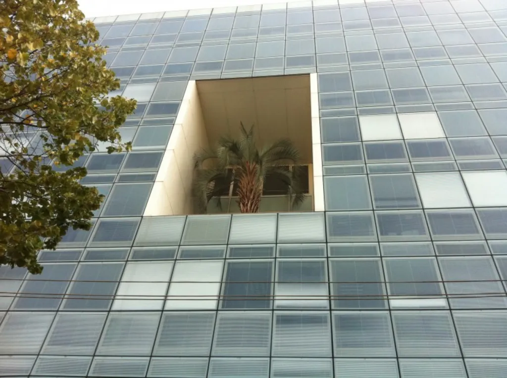 Immeuble repérable par son palmier située en plein coeur de celui ci