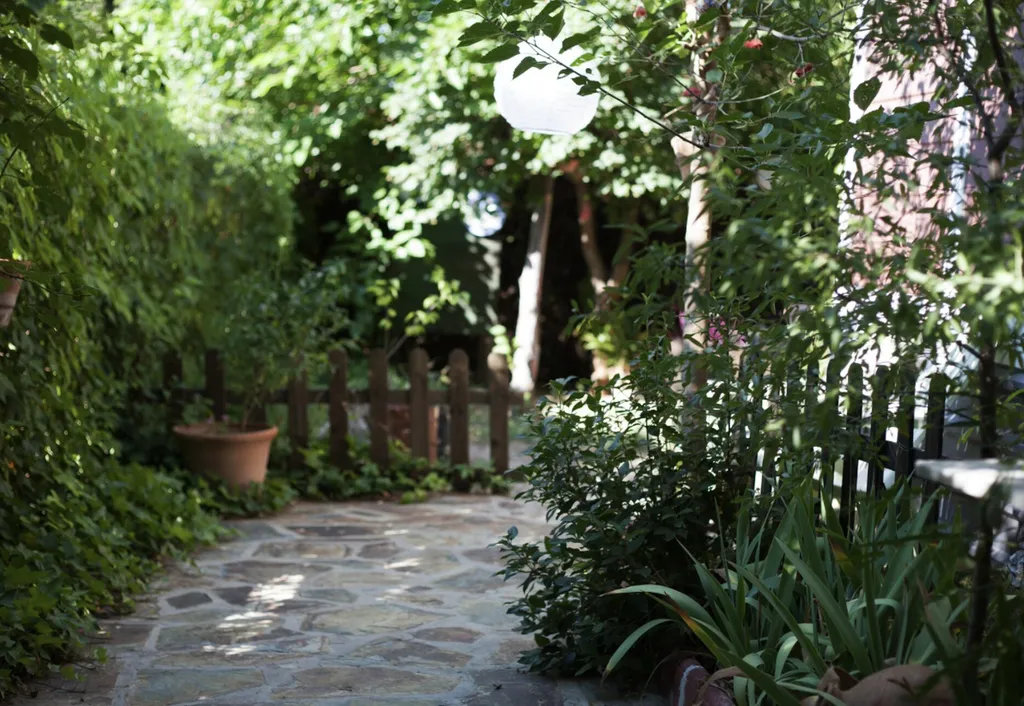 Prévention contre les moustiques, traitement professionnel pour les jardins à Toulouse et alentours