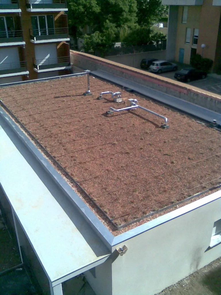 Terrasse végétalisée