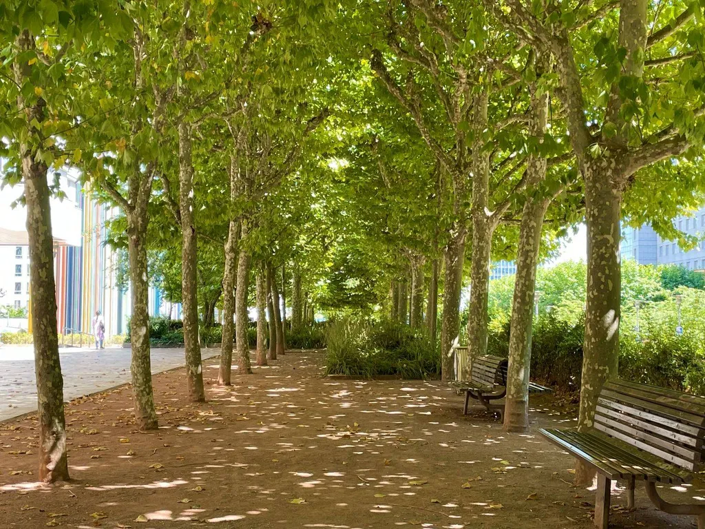 A vendre 3 pièces A Rénover Esplanade de la Défense - 92400