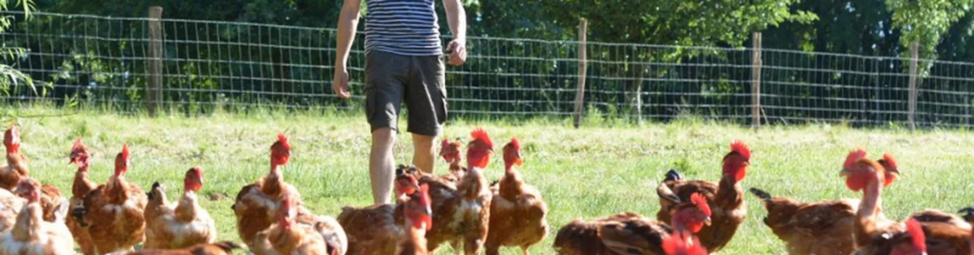 FAQ : Comment choisir et cuire vos volailles fermières à Camarsac ?