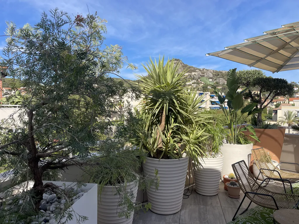 Création de jardinières avec végétaux méditerranéens, arrosage goutte-à-goutte et clôture bambou à Hyères-les-Palmiers