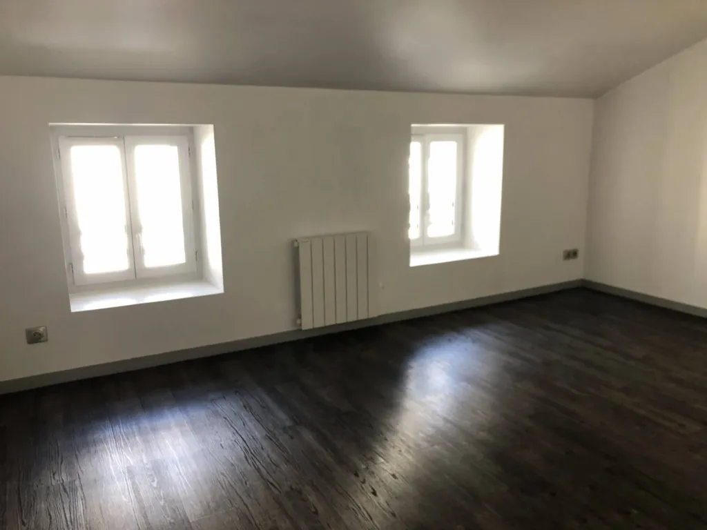Appartement T3 entièrement rénové avec cuisine équipé et ouverte sur le séjour à Villeurbanne place Grand Clément près de Lyon