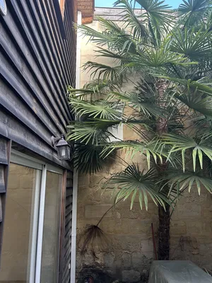 pentasplit climatisation 5 unité extérieur pour maison 4 chambres au Bouscat 