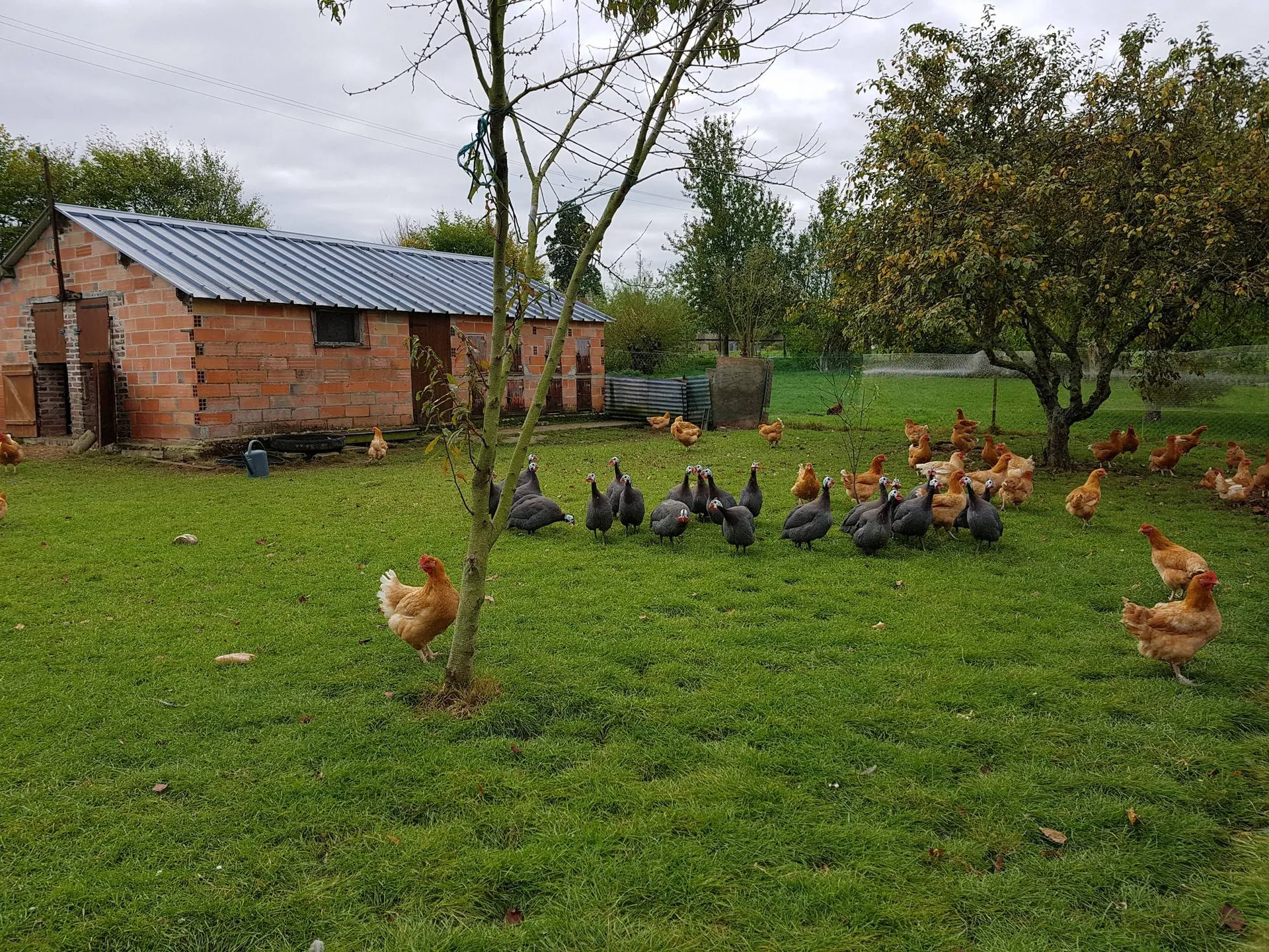 L'agence Terres et Demeures de Normandie située à Lisieux 14