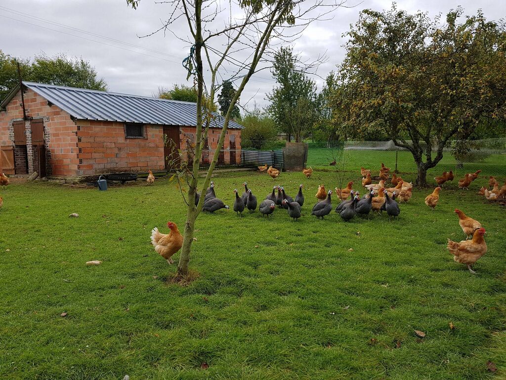 L'agence Terres et Demeures de Normandie située à Lisieux 14