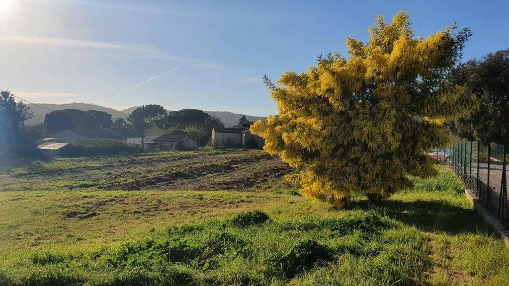 Terrain constructible à vendre dans le Var