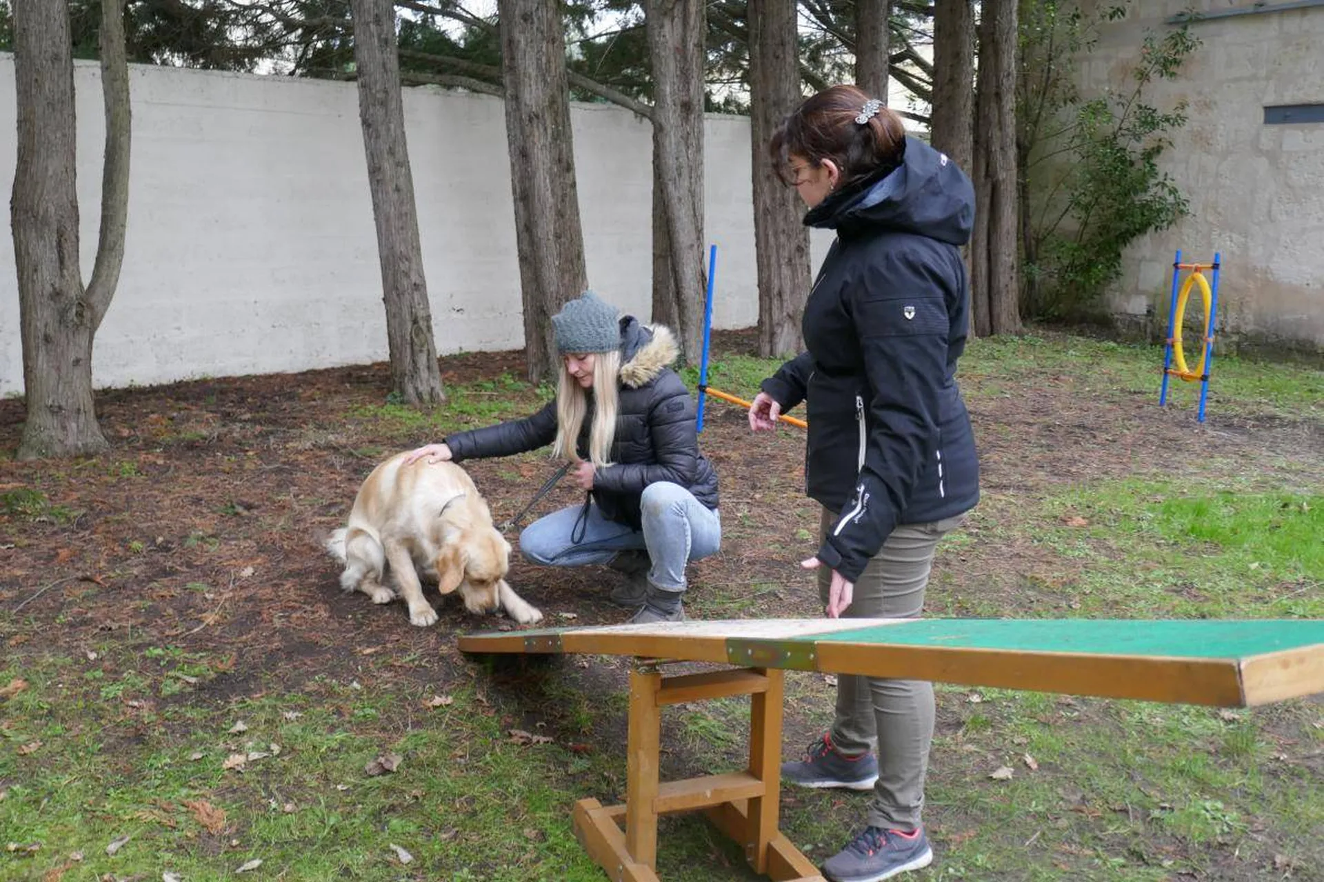 meilleur centre complet de dresseur pour chien