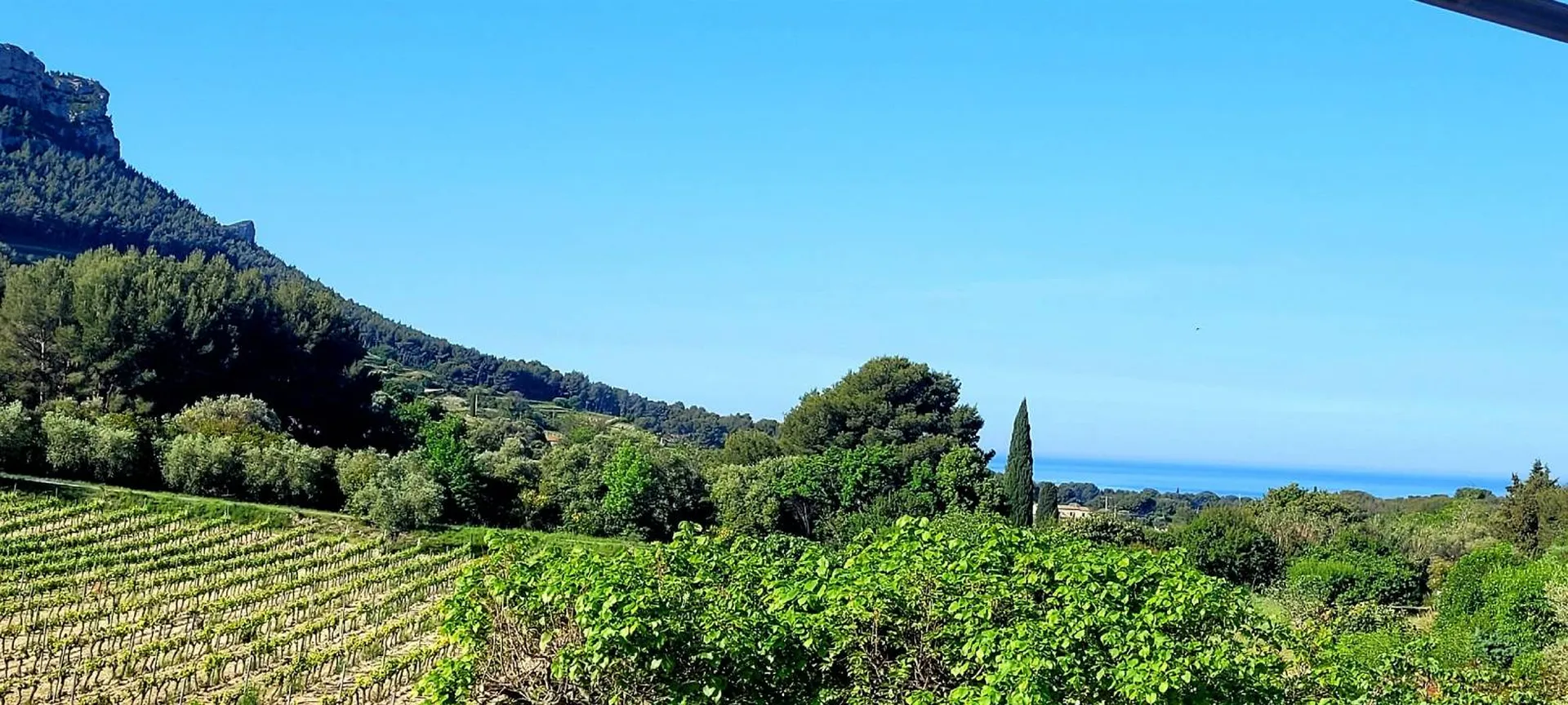 A vendre maison Cassis dans les vignes, entièrement rénovée, très jolie vue dégagée 