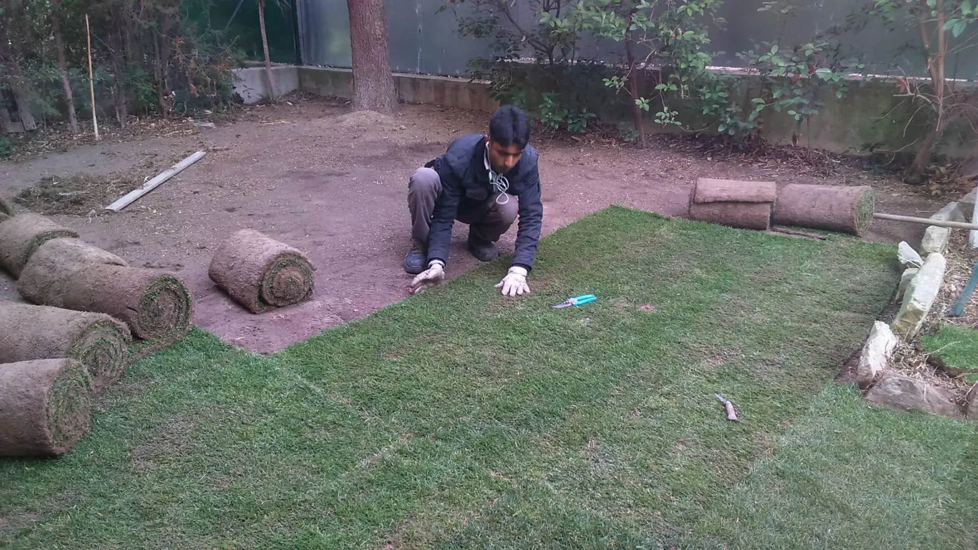 Pose et entretien de pelouse à Marseille et dans les Bouches du Rhône