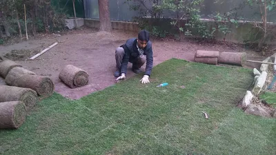 Pose et entretien de pelouse à Marseille et dans les Bouches du Rhône