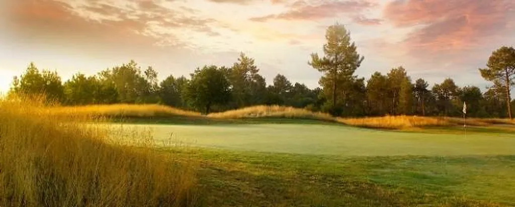 Partenaire publicitaire de Or ligne à La Teste