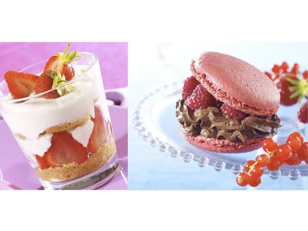 Yoplait_Carnet de recettes