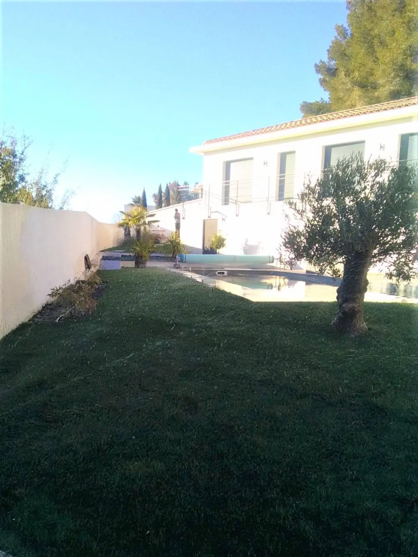 Pose de gazon en rouleau autour d'une piscine dans un jardin contemporain avec piscine