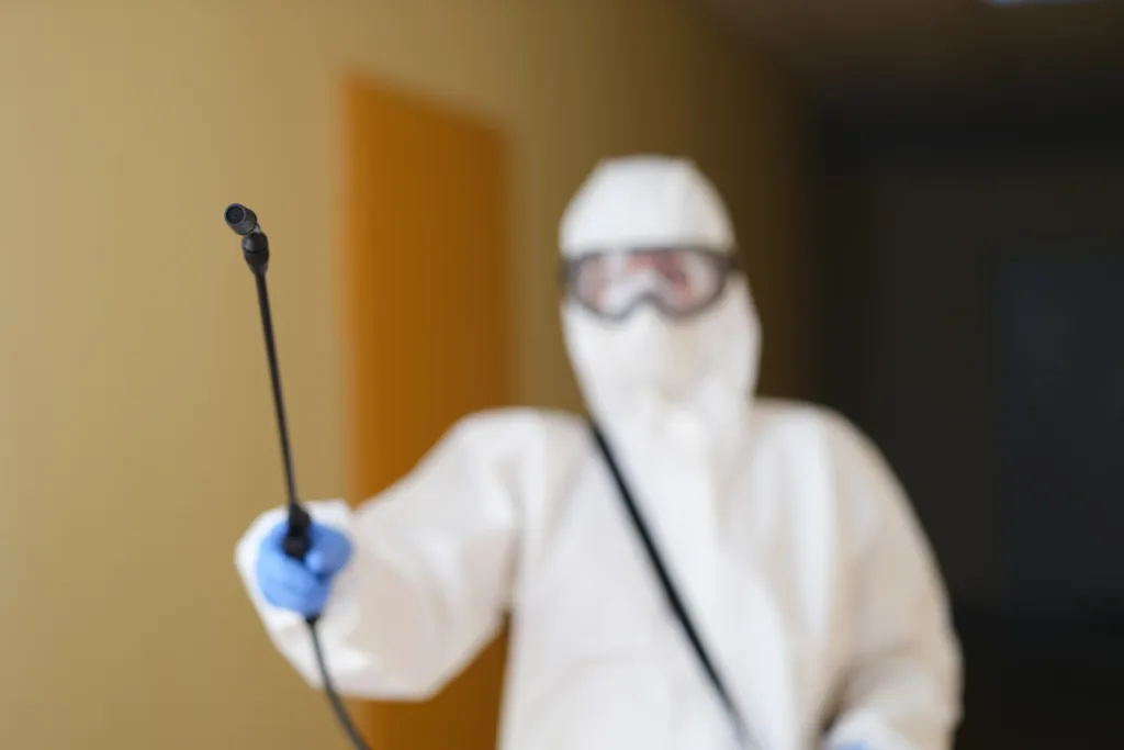 Faire appel à un service professionnel de désinsectisation contre les moustiques et moustiques tigres à Toulouse et Haute-Garonne