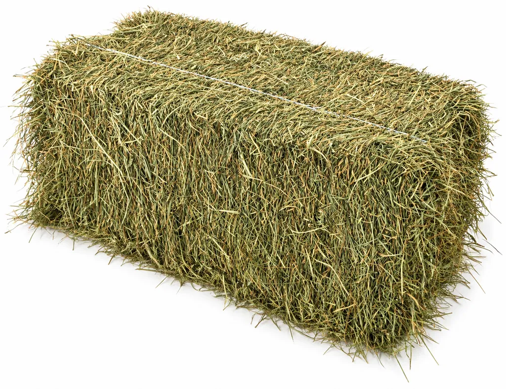 Botte de foin de Crau 30 kg AOP – fourrage premium français pour chevaux et animaux de la ferme