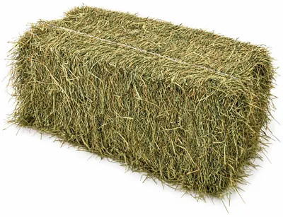 Botte de foin de Crau 30 kg AOP – fourrage premium français pour chevaux et animaux de la ferme