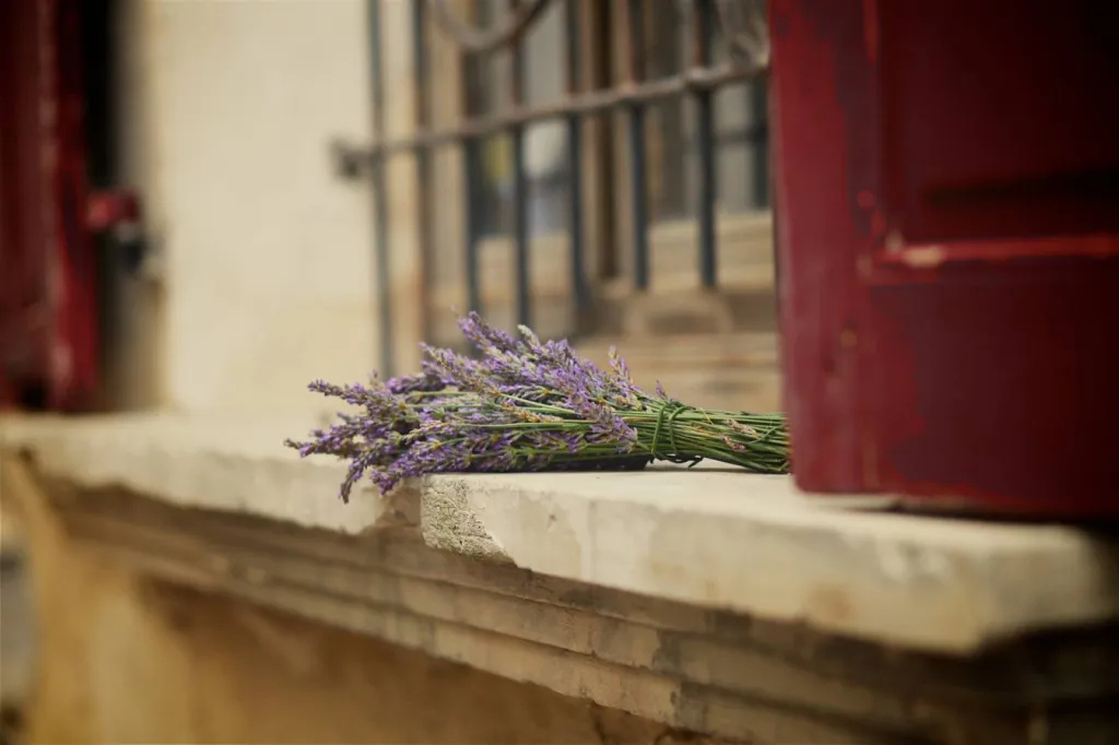Boutique de vêtements Aix-en-Provence et Marseille Damart