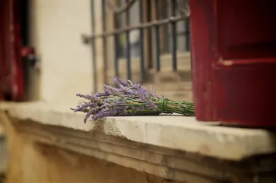 Boutique de vêtements Aix-en-Provence et Marseille Damart