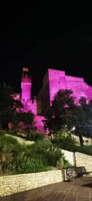 salon de provence château 