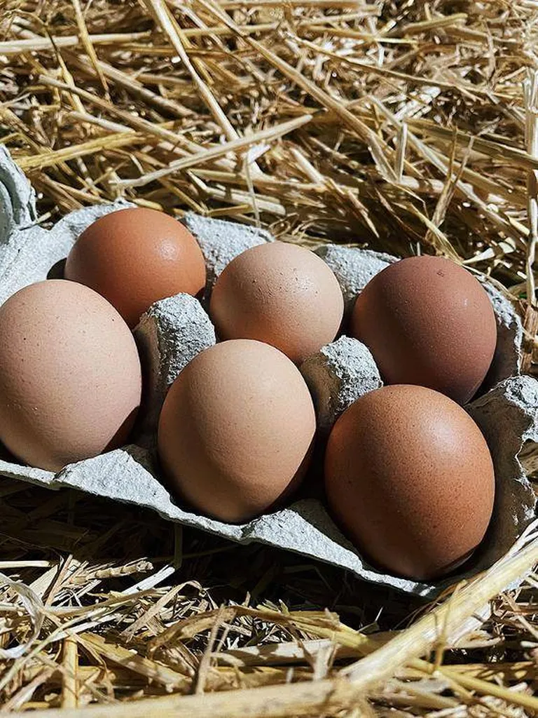 Oeufs fermiers x6