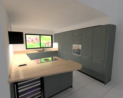 cuisine verte mat poignée dorée