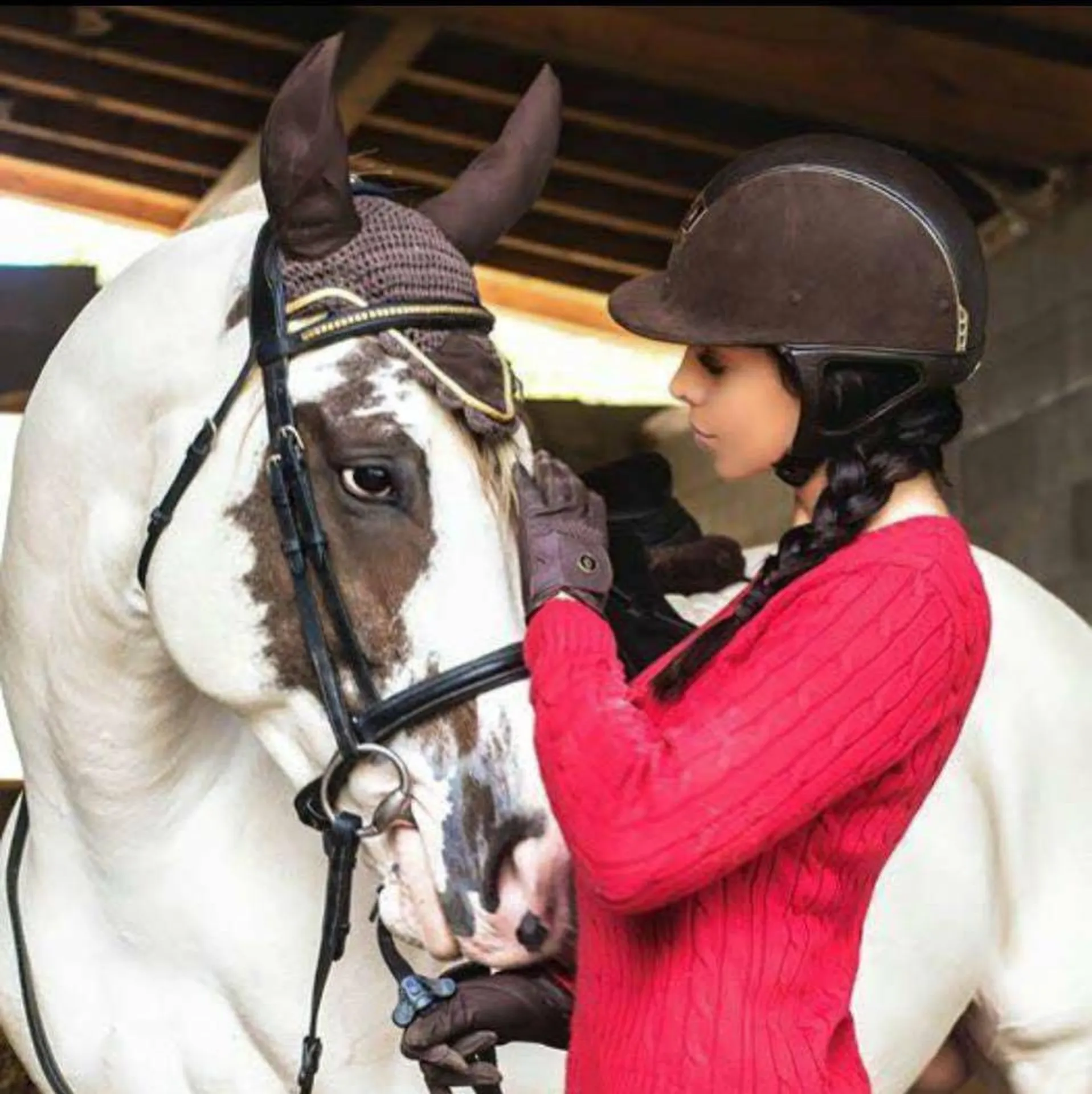 Tarif communication animale à paris 