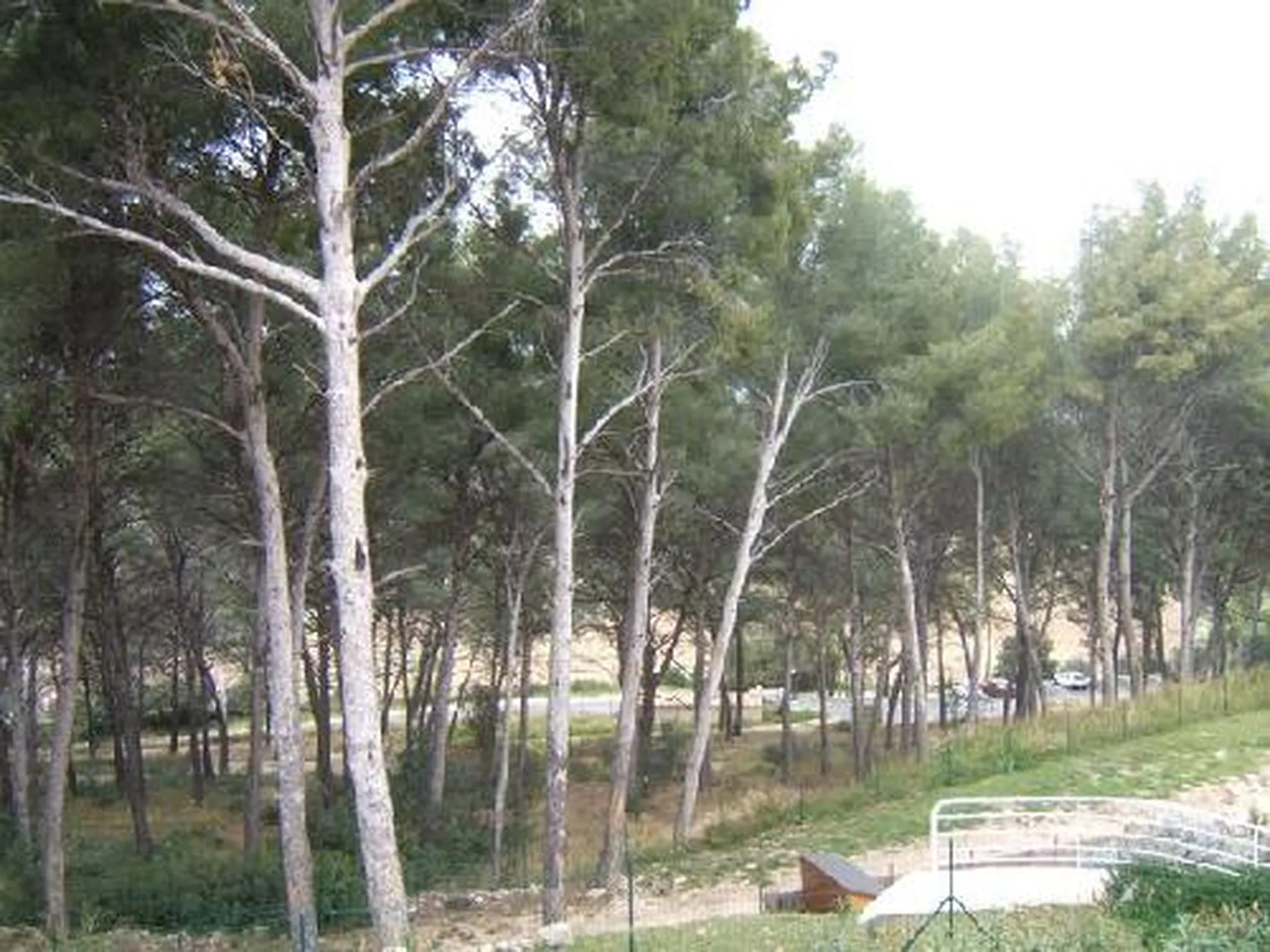 RECHERCHE APPARTEMENT LA CIOTAT