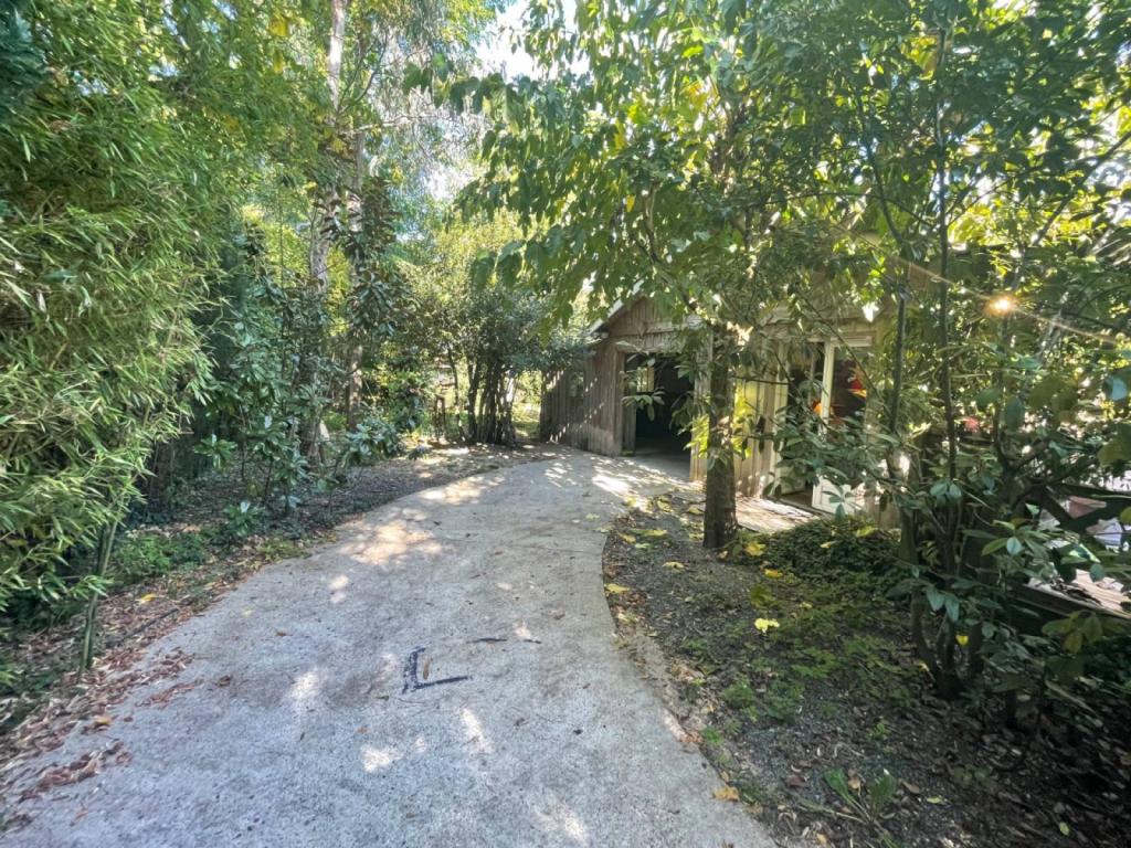 Jolie maison pierre de plain-pied Bordeaux Caudéran Les Orangers 