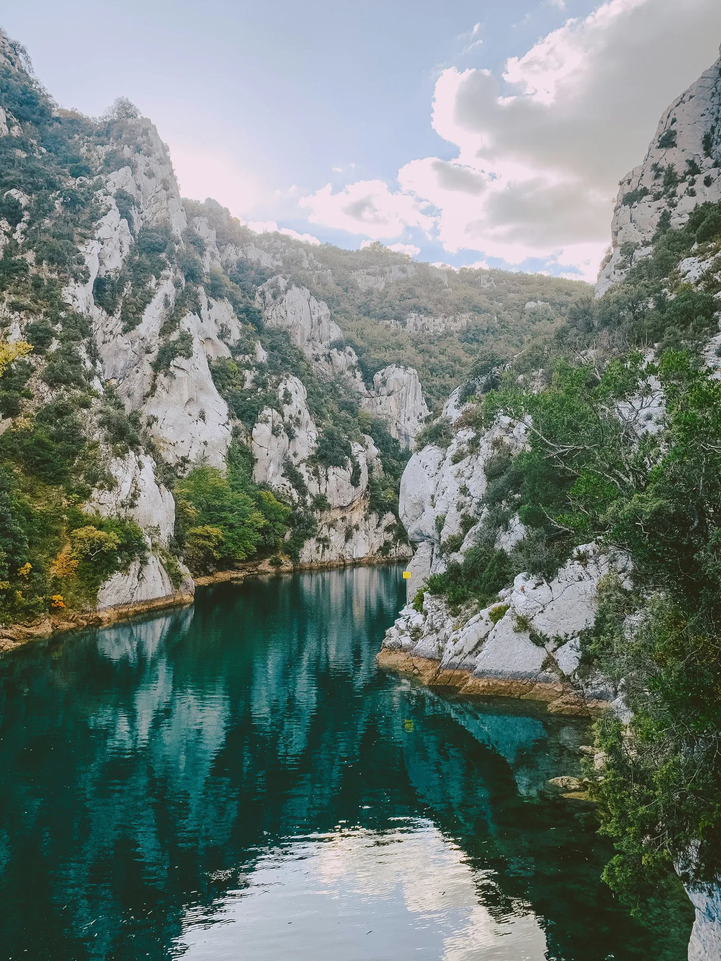 Avocat pénaliste Toulon : guide des procédures pénales locales