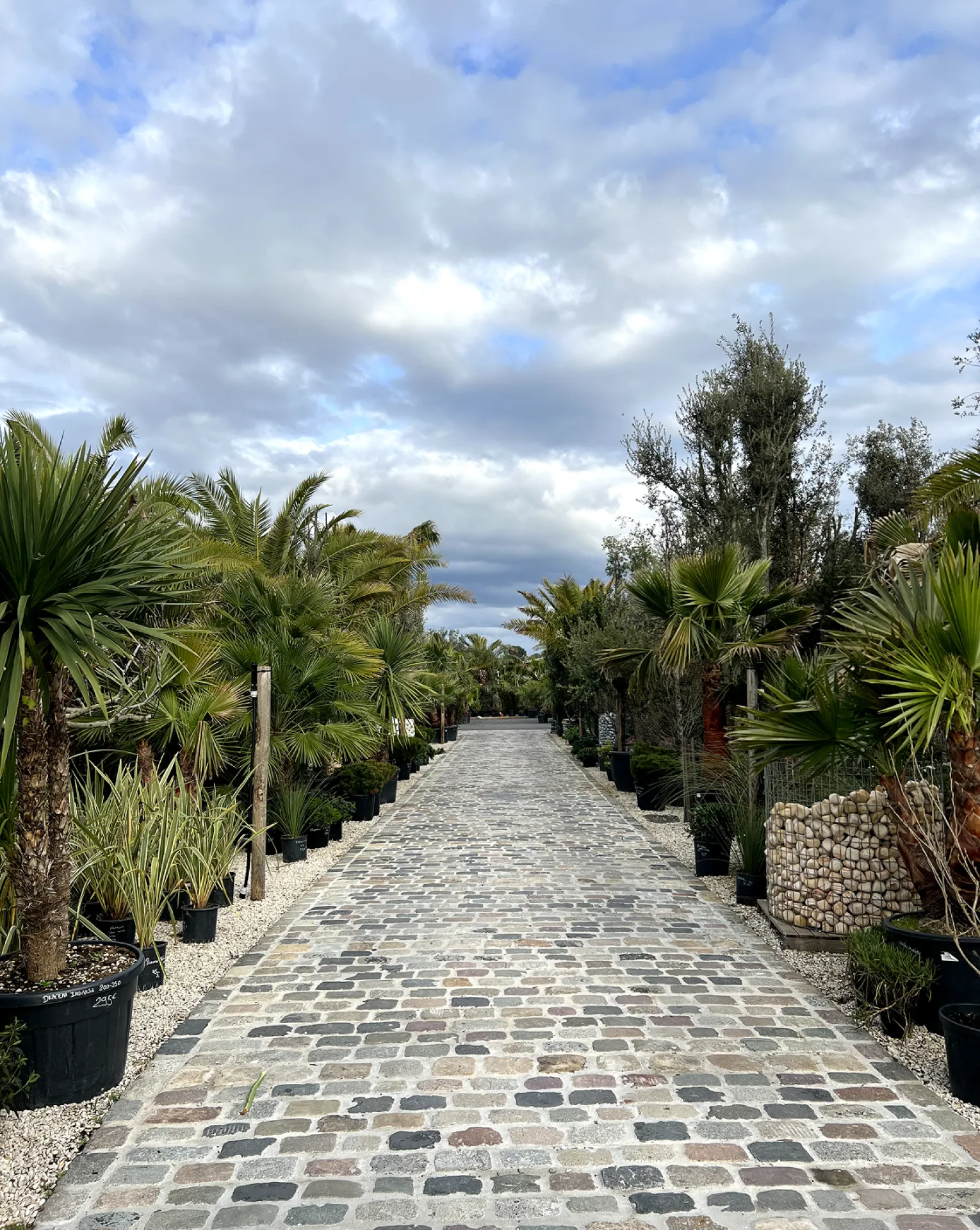 DECOUVREZ NOTRE PARC VEGETAL