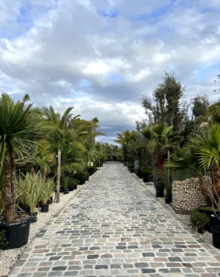 DECOUVREZ NOTRE PARC VEGETAL