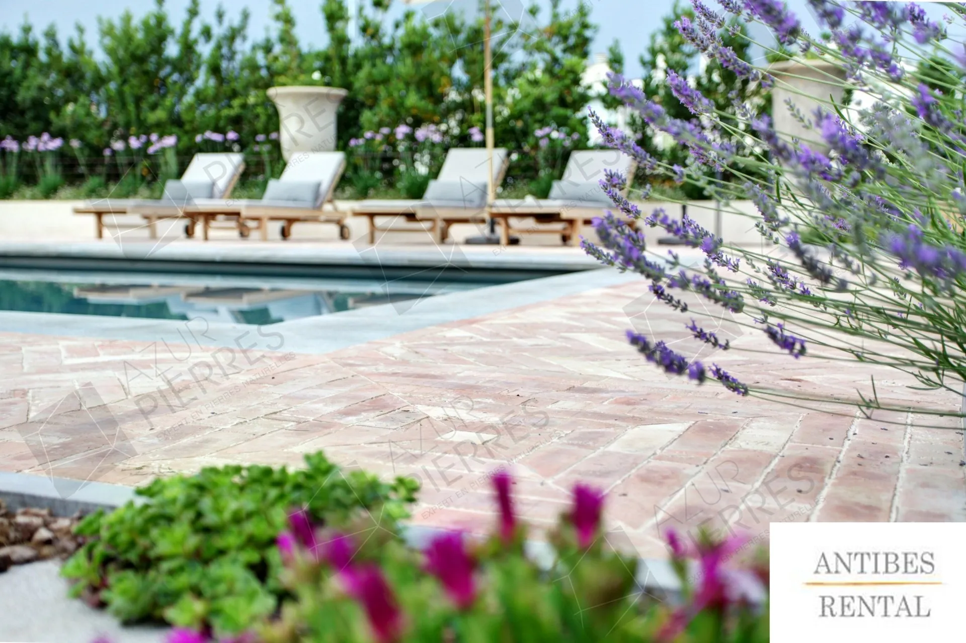 www.antibes-rental.com