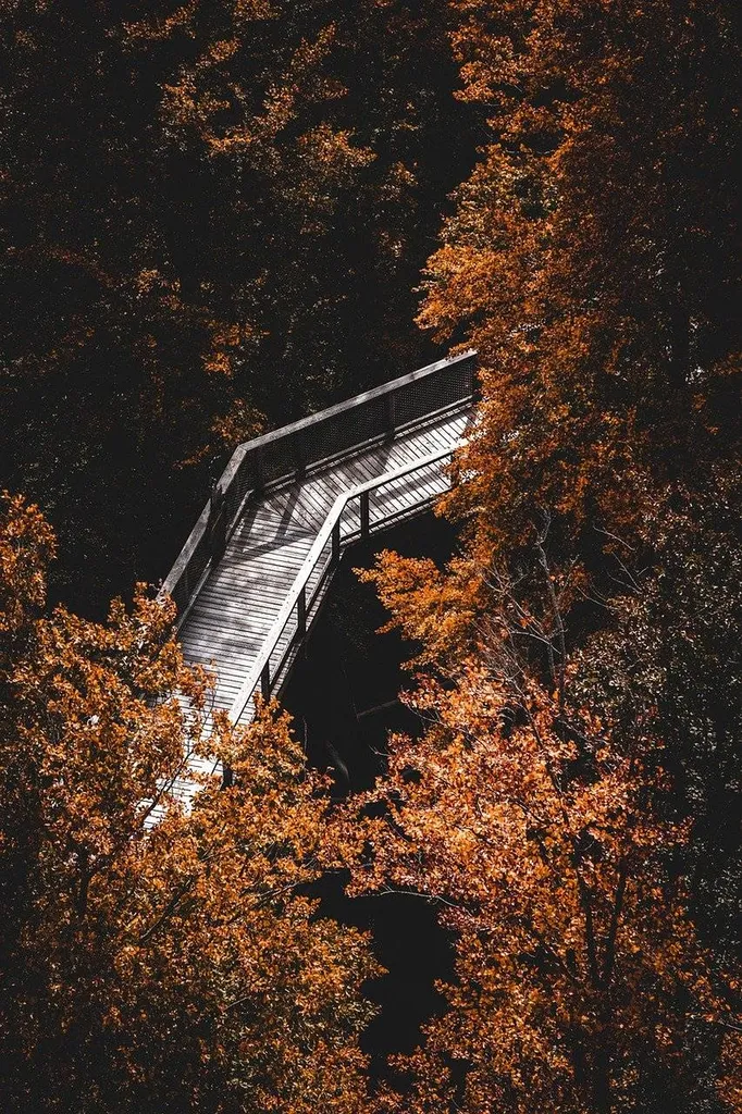 Trouble de l'attachement : trouver une aide psychologique Paris les halles