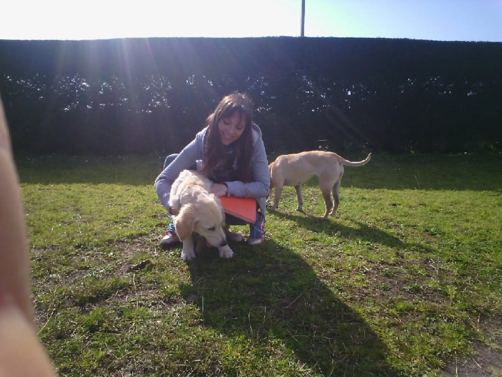 Forfait d'Education Comportementale pour chien, cours adaptés et sur meusure à votre profil dans la Gironde Biganos, Pessac