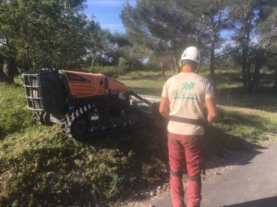 Nettoyage des pourtours d'une maison par une entreprise de débroussaillage