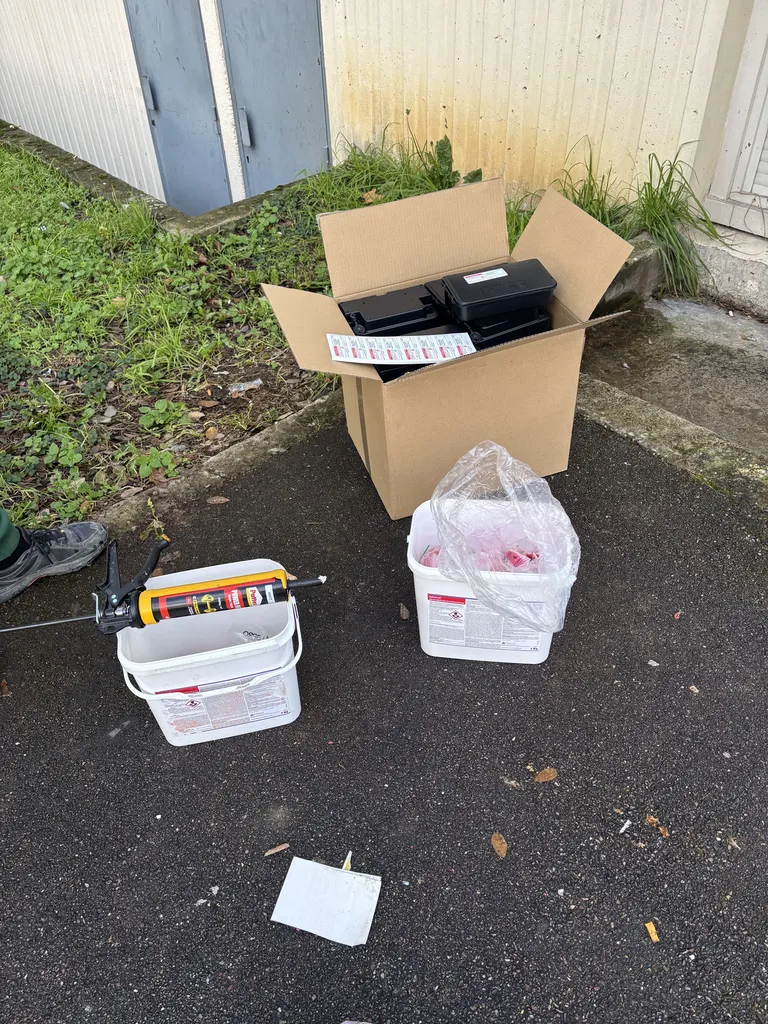 Spécialiste de la dératisation à Rillieux-la-Pape 