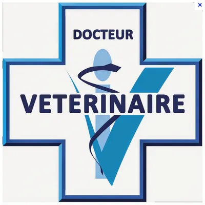 Vétérinaire Talance 
