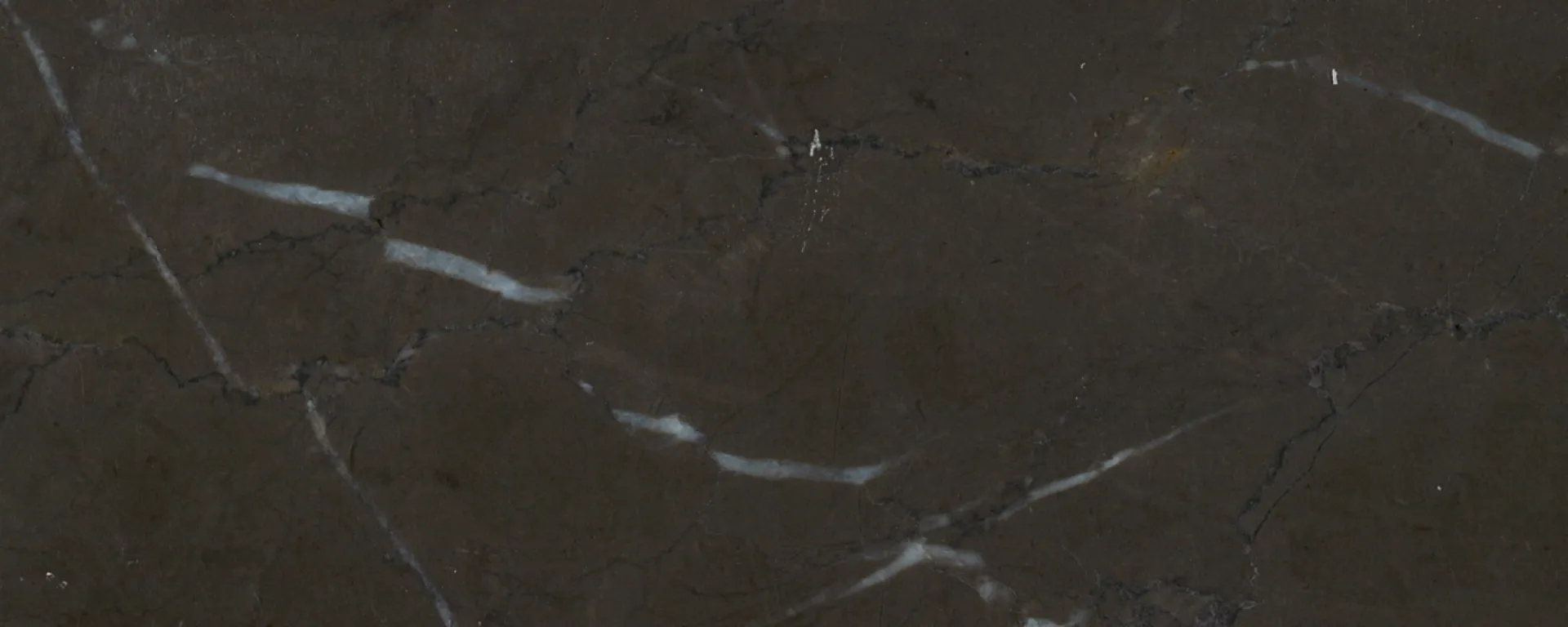 Pietra Grigia Marble 