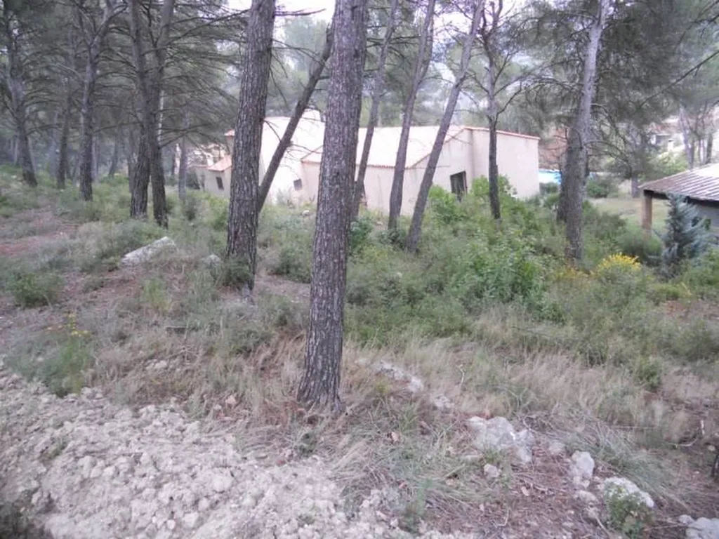 Débroussaillage d'une fôret par Les Jardins de Romain à Trets.