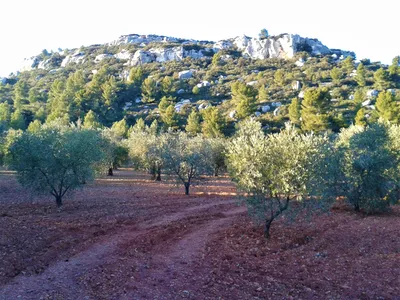 Achat de villa d'architecte à Maussane-les-Alpilles