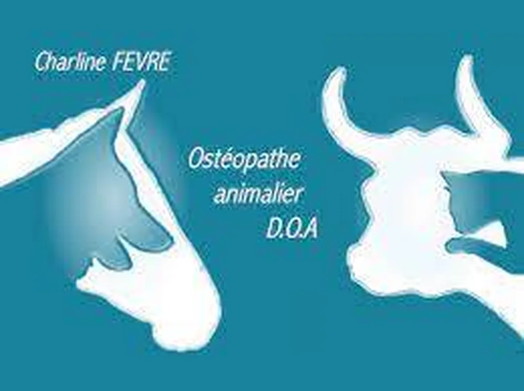 ostéopathe animalier 